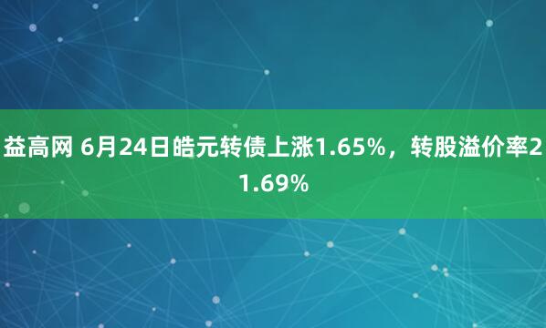 益高网 6月24日皓元转债上涨1.65%，转股溢价率21.69%