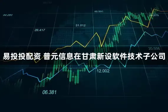 易投投配资 普元信息在甘肃新设软件技术子公司