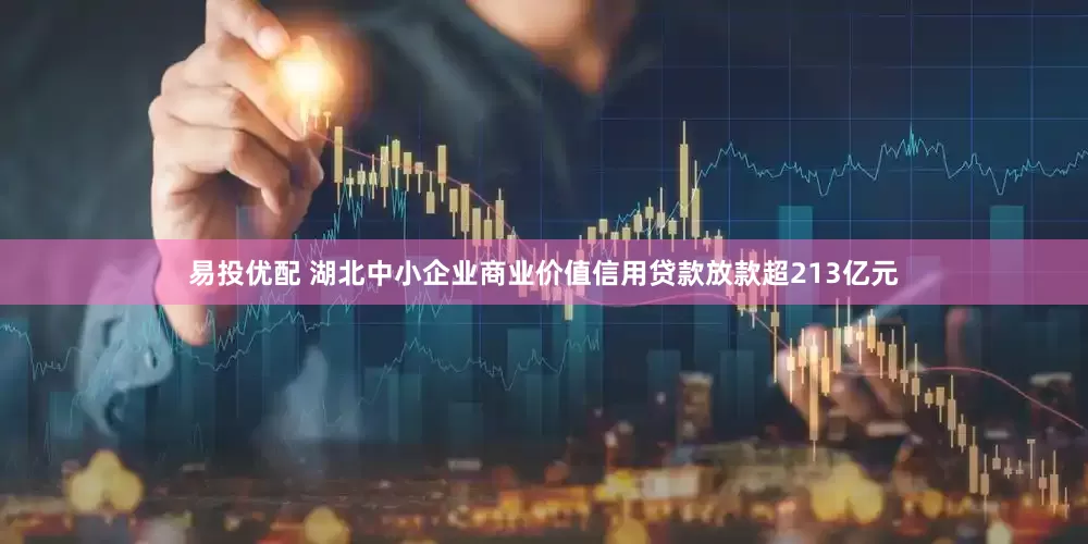 易投优配 湖北中小企业商业价值信用贷款放款超213亿元