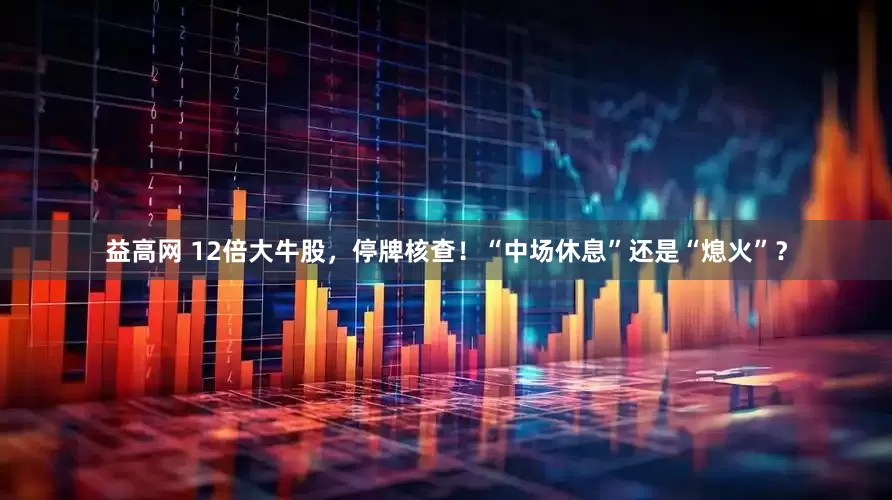 益高网 12倍大牛股，停牌核查！“中场休息”还是“熄火”？